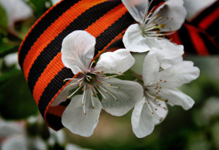 Ты будешь на фронте, а мы — в тылу