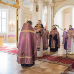 20 лет священнической хиротонии прот. Владимира Вигилянского