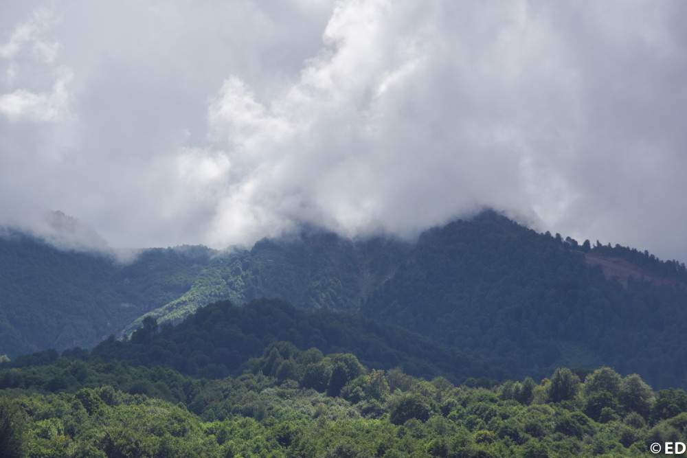 27248860912_0762713f70_k